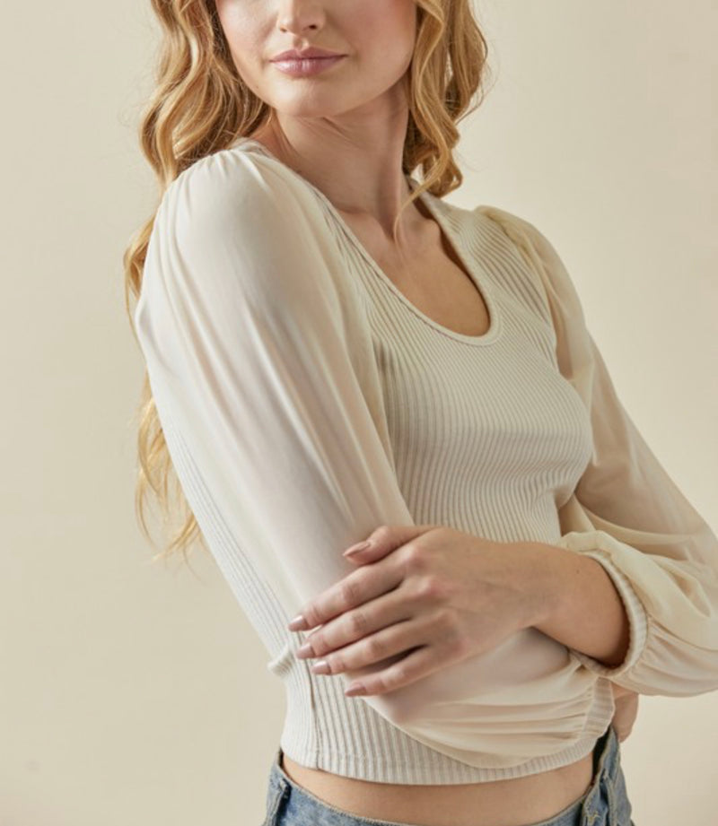 Ribbed Top with Sheer Sleeve